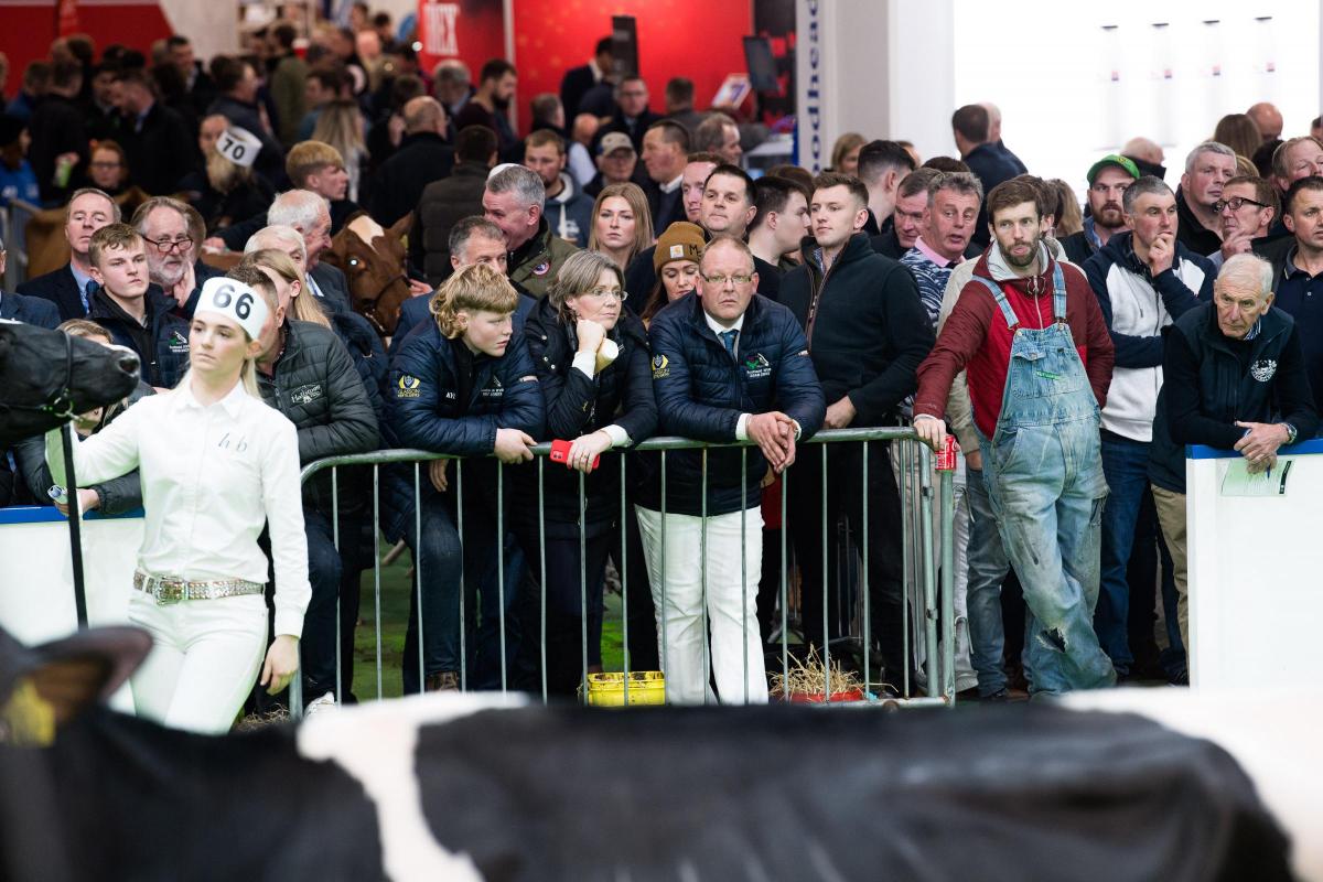 Spectators gathered round the ring at AgriScot for the judging Ref:RH161122086  Rob Haining / The Scottish Farmer...