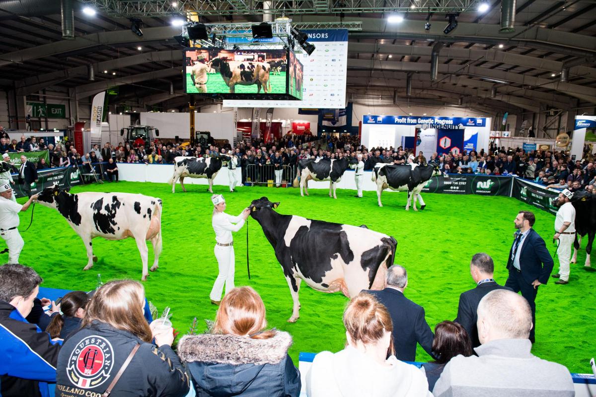 Spectators look on as the Holstein junior cow classes get under way  Ref:RH161122085  Rob Haining / The Scottish Farmer...