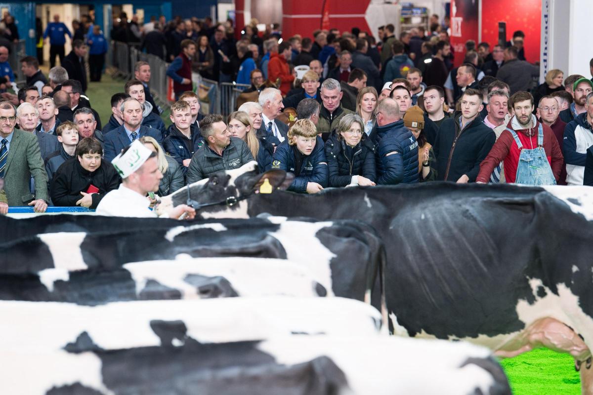 Spectators watch on as the Holstein judging comaes to a conclusion Ref:RH161122088  Rob Haining / The Scottish Farmer...
