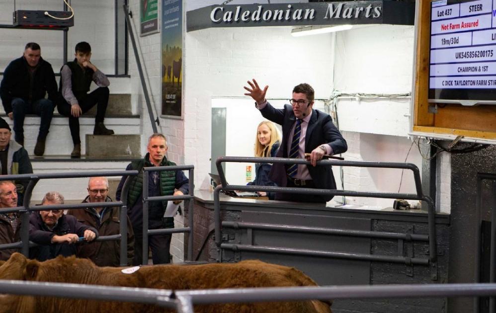 Cale Marts, Stirling appoints auctioneer to board of directors