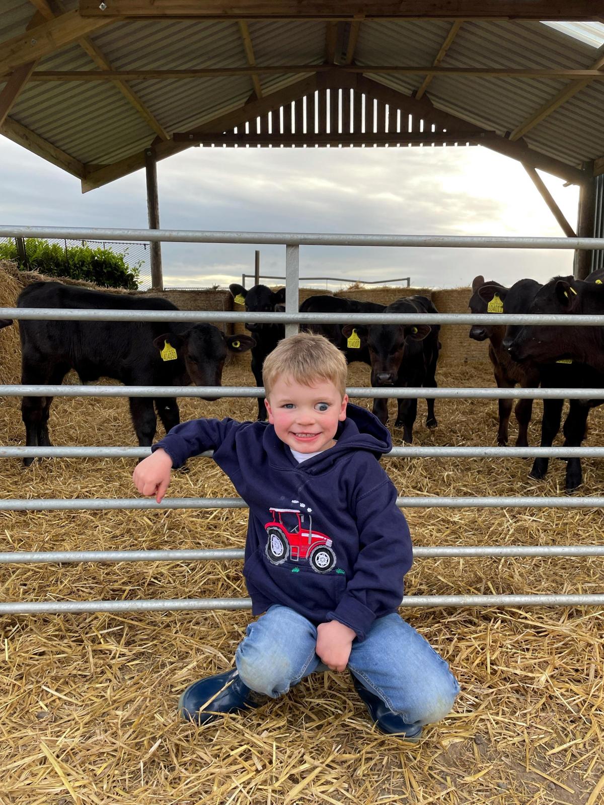Janet Anderson - My some Lewis Feeding calves on his granny and papas farm at Longforgan