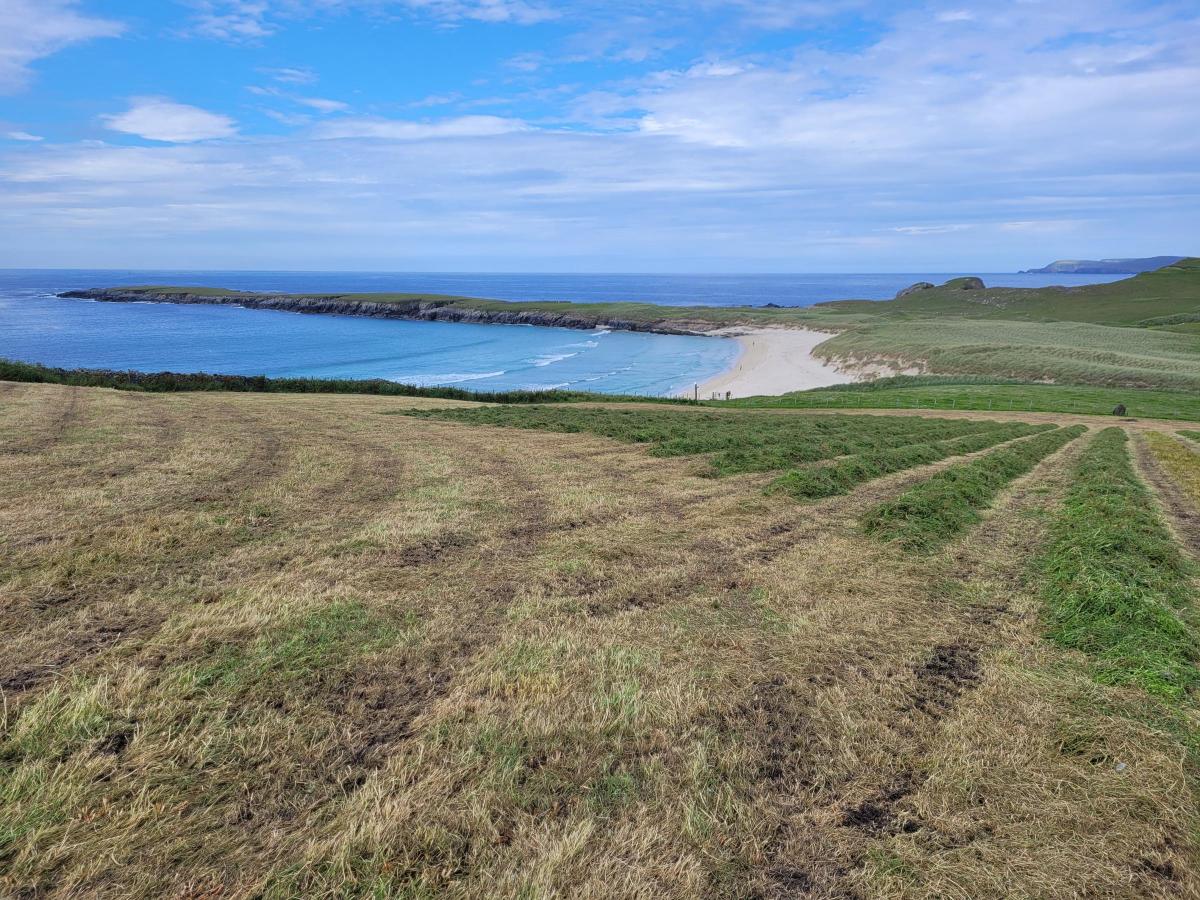 James Nicholson - Here are some pictures of us taking in silage last year. It is the most northerly silage clamp in Scotland up in the island of Yell Shetland