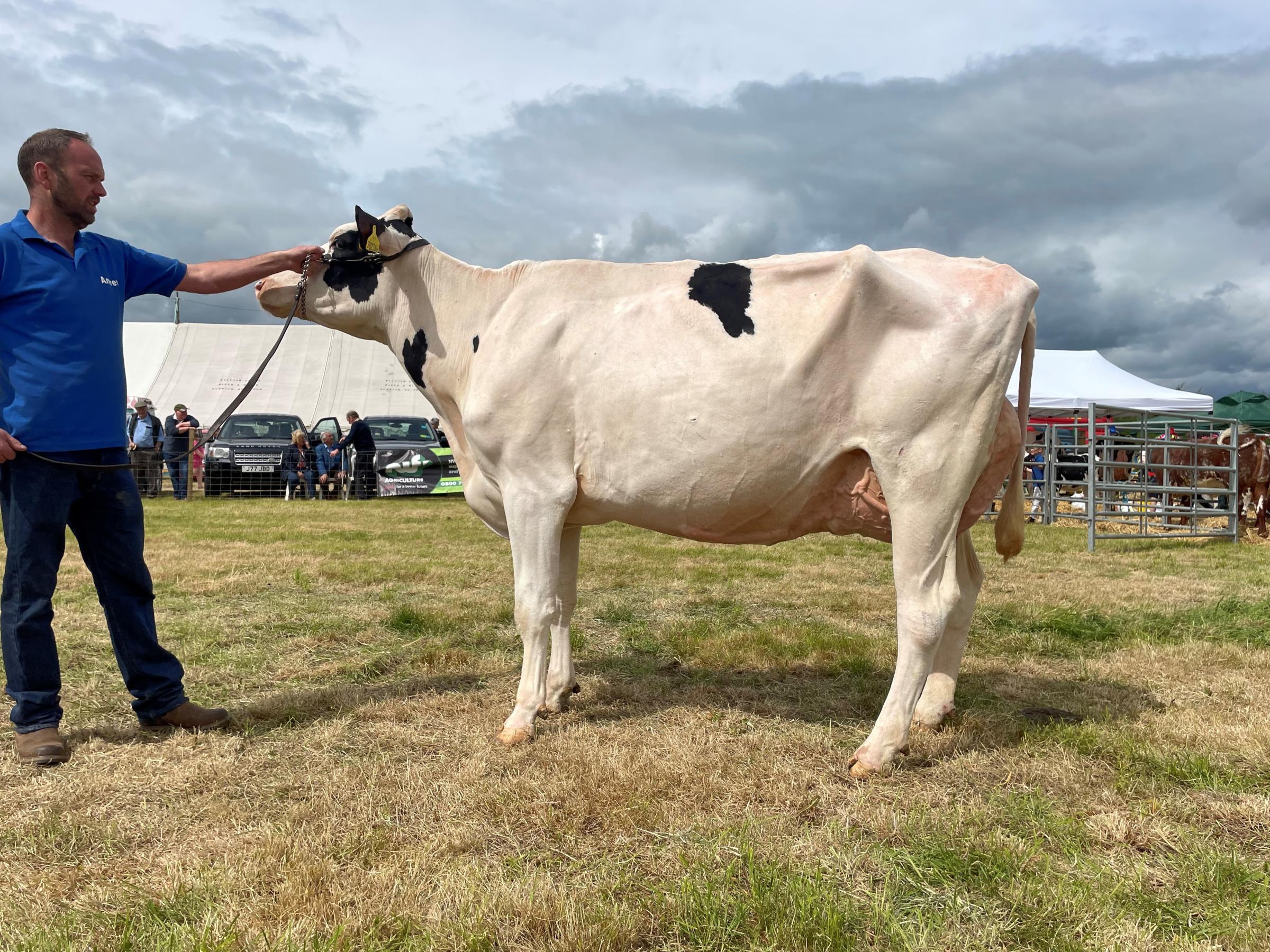 The dairy winner came from the Lawrie family of Grangehall