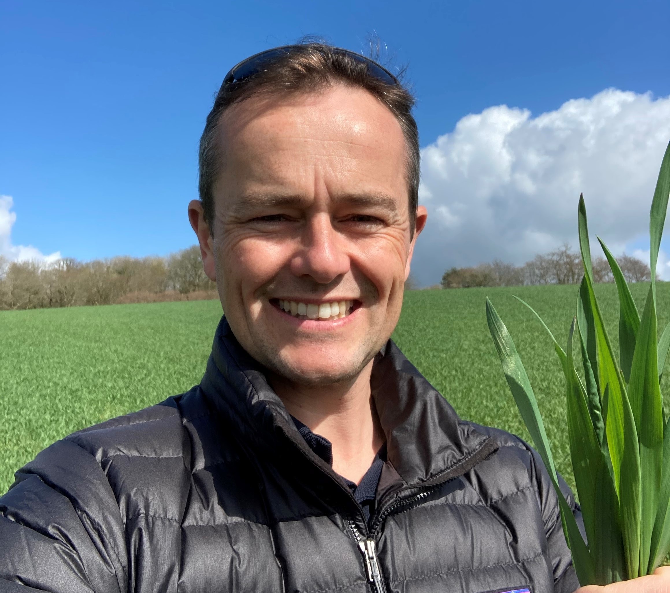 OSR harvest – Check crop with the pod test before dessicating - Vimarsana News