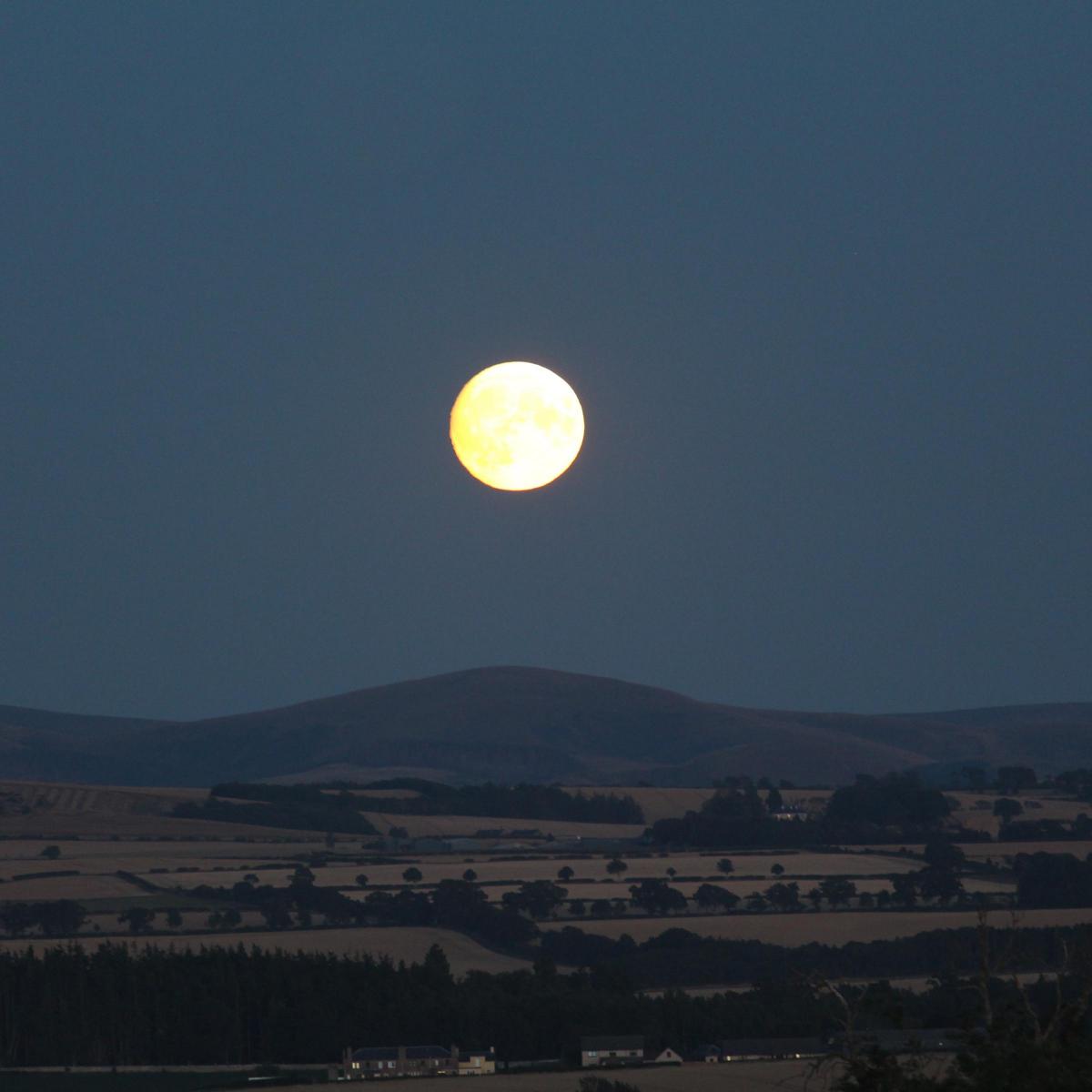 Yvonne Baird - Managed to capture the stunning moon the other night