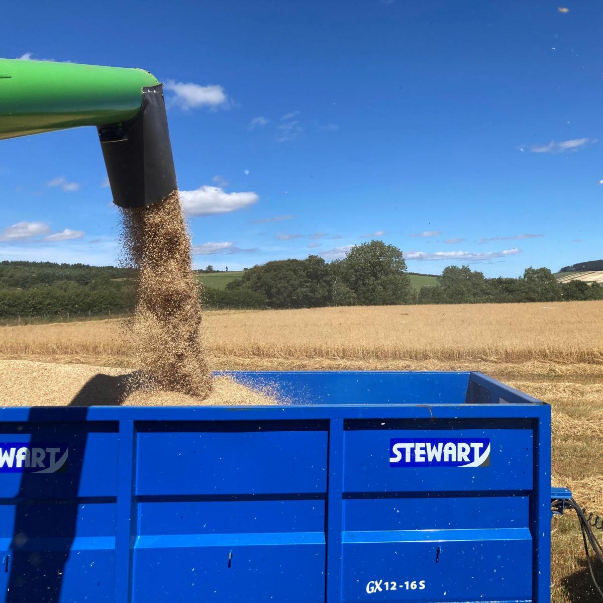 James Begg - View from the combine harvesting Mascani organic winter oats on the Drummuir Estate, Banffshire