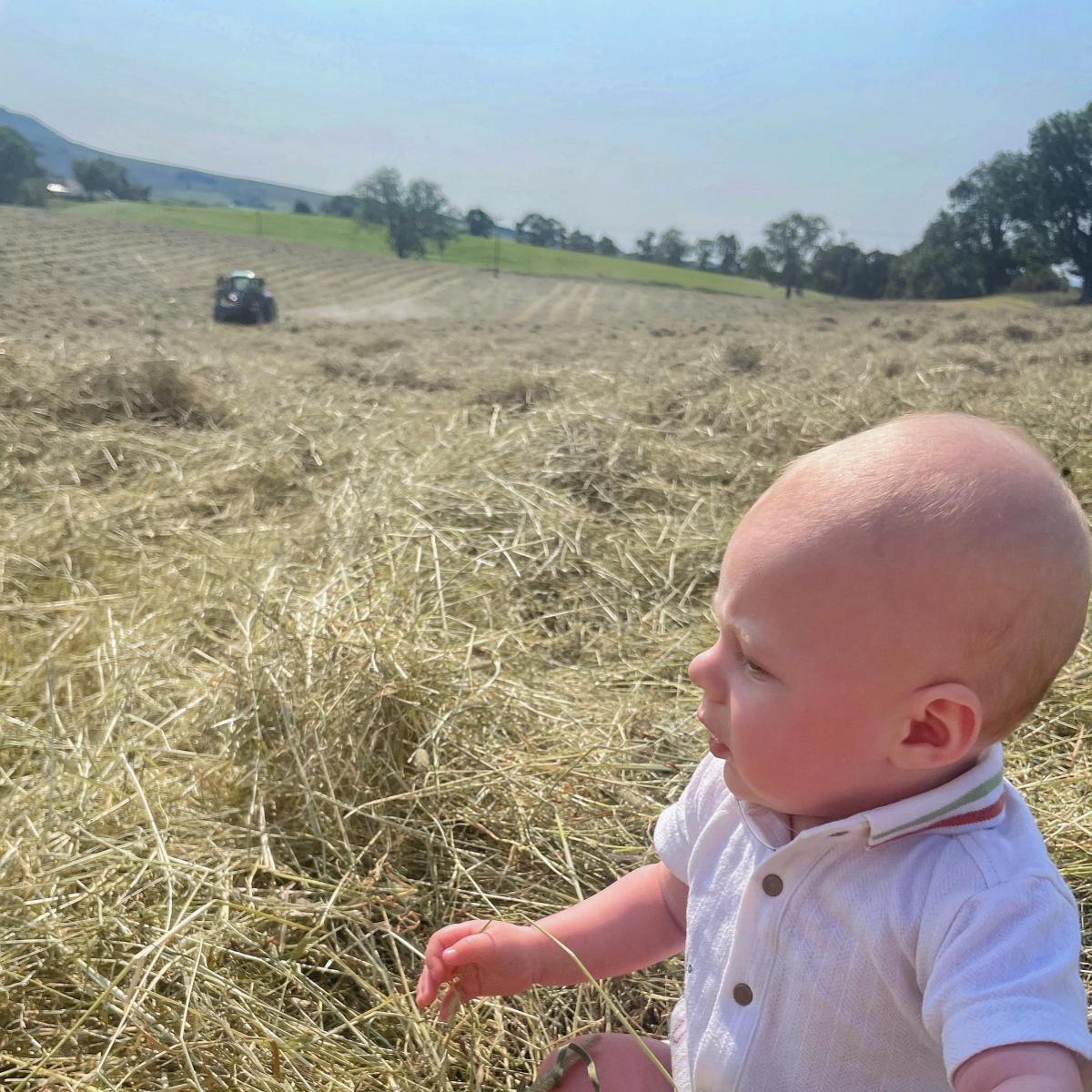 Eilidh Duncan - Watching daddy make hay whilst the sun shines