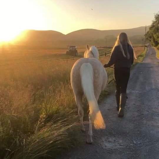 Anna Renouf - The Golden Hour. My daughter Libby and pony Pip watching the hay being cut