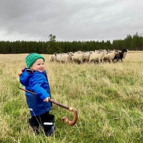 Catriona Sutherland - In the Cairngorms with our 19 month old son Torrin trying out his new crook his Daddy made for him