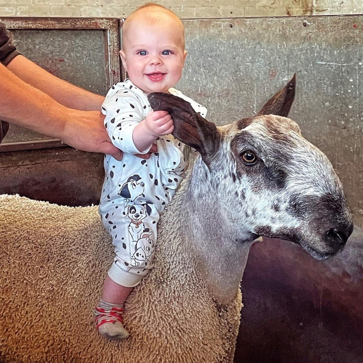 Eilidh Duncan - Giddy-up! It’s off to the market we go, we’ve tups to sell