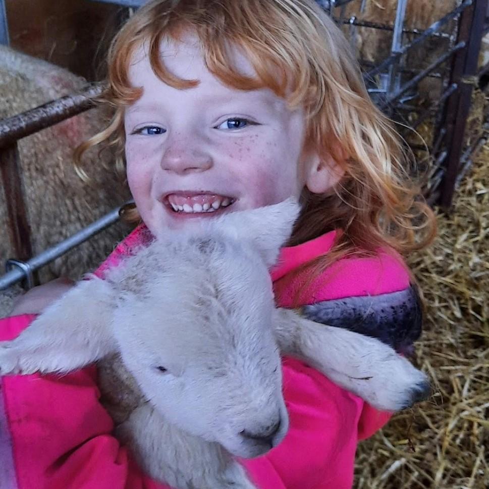 Shona Ross - Lilly Scorgie Age 5, First lamb she helped lamb