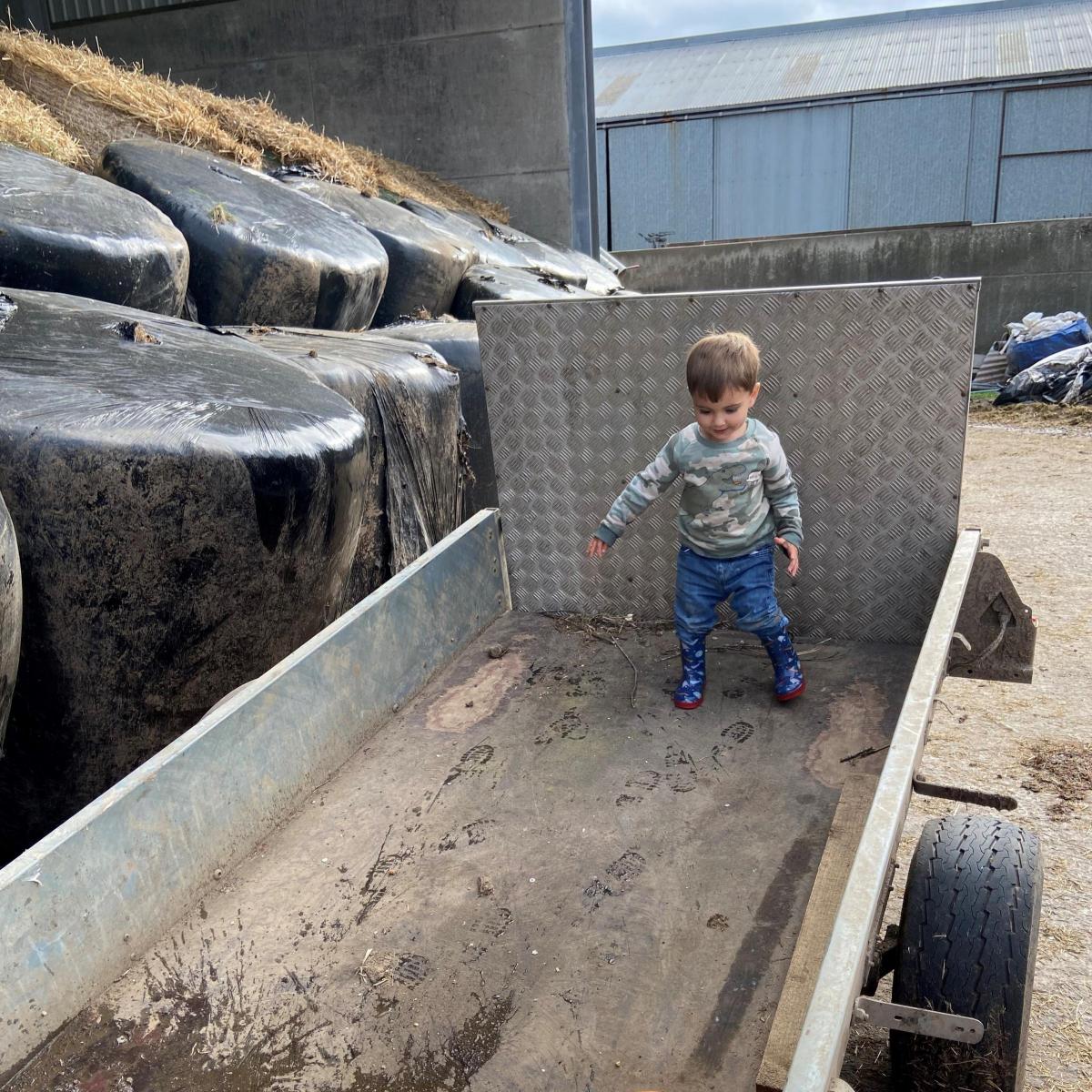Lindsey Armstrong (Barleith Farm) - Alex (22months) loves running into any puddle he can find.