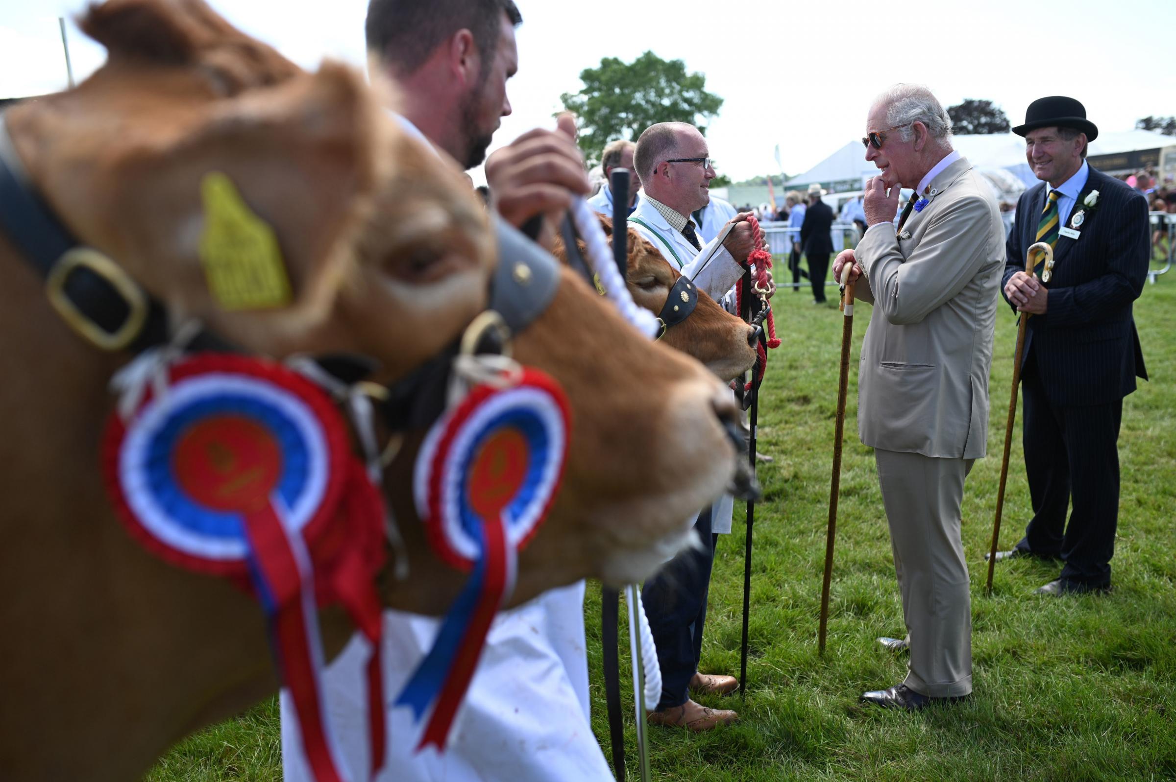 King Charles, then Prince of Wales, views cattle being judged during a visit to the Great Yorkshire Show in 2021, with Charles Mills, right