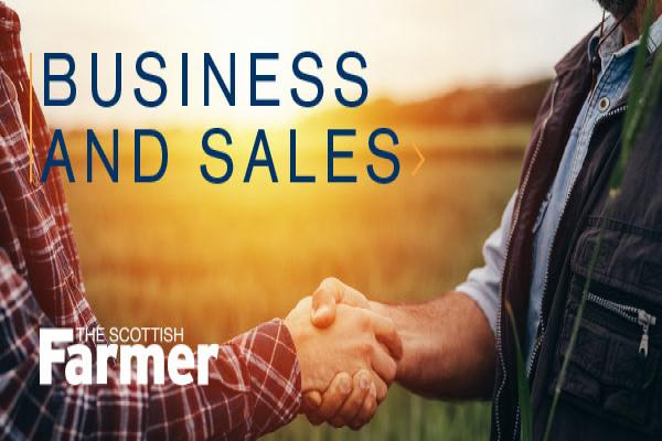 Business and Sales promo image