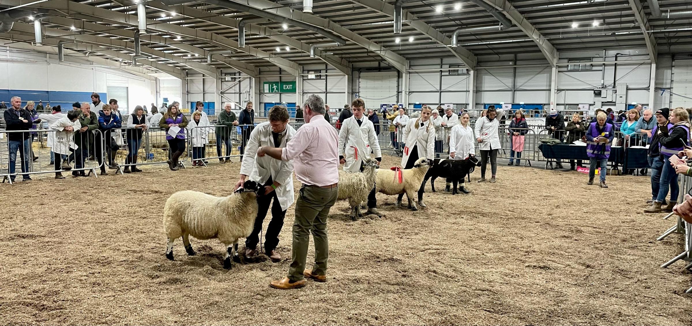 Scottish Smallholder Festival thrives in new venue - Vimarsana News