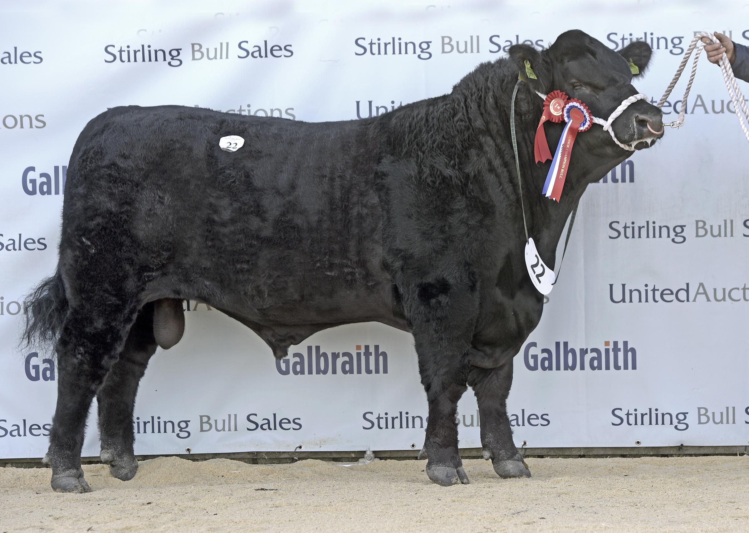 Rulesmains Paycheck, achieved 9000gns for Andrew and Emma Hodge
