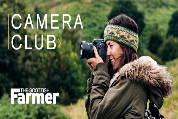 Camera Club promo image