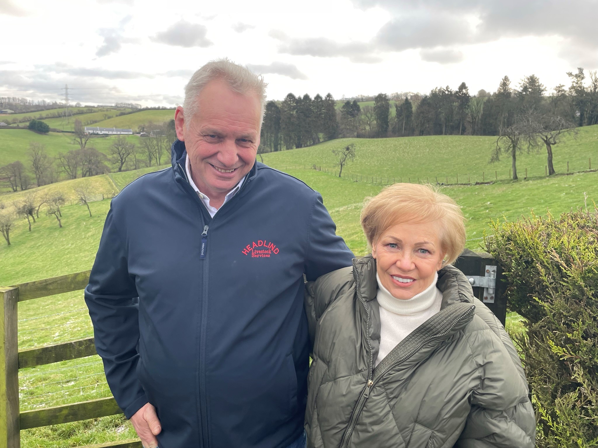 Beef Shorthorn suits the system for Allan Jackson, Woodyett - Vimarsana News