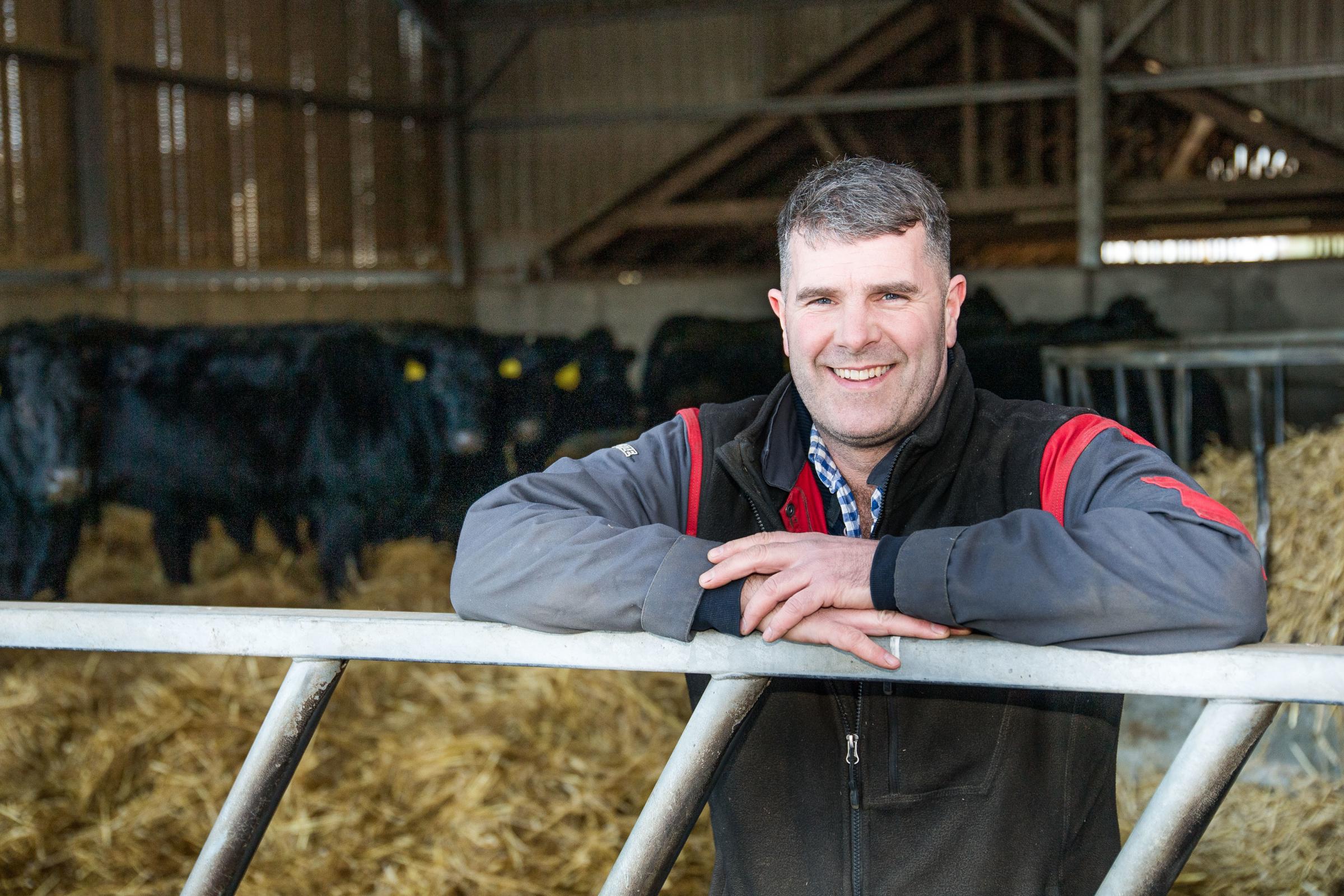 Breeding for success with Limousins at Wester Bonhard - Vimarsana News