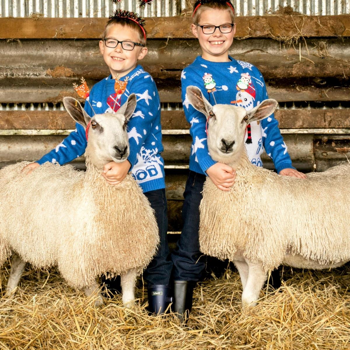 Steph Ewart (Easter Dounie Farm) - Ardle Housley (7) and Fraser Housley (9) of Easter Dounie Farm, Blairgowrie, enjoying the festivities with their own BFL ewe lambs