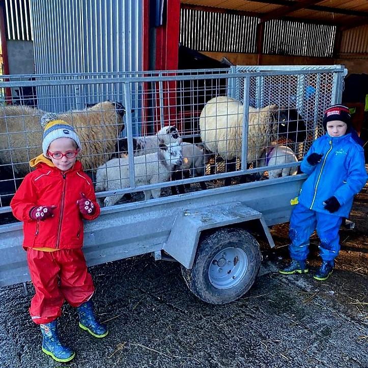 Anne T Sheridan - Twins Robert and Michael Moorhead helping their mother Breege turn out some early lambs at Moneylagen House