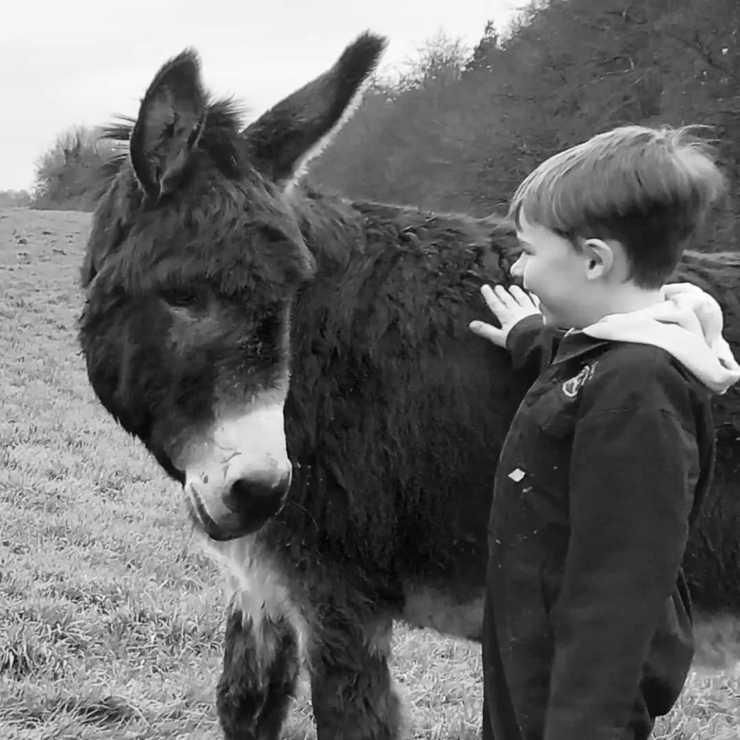 Margo Smyth (Monaghan, Ireland) - My 6 year old son Conal having a chat with Nelly the donkey