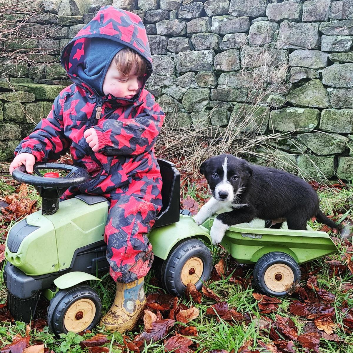 Meg Hutchinson - 'Not sure who's leading who astray here', 2yr Dylan and 8 week old Baw Jaze