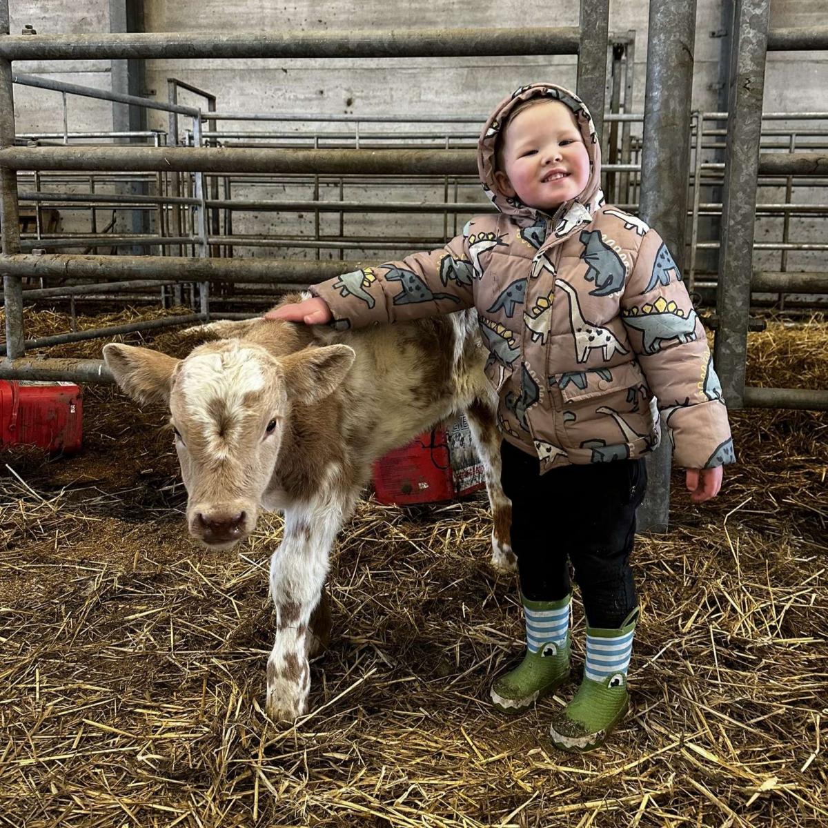 Sophie McCoy - My friends wee boy Brodie with his new pet calf called Lennie. He was in his element when he got to meet him and name the calf himself!