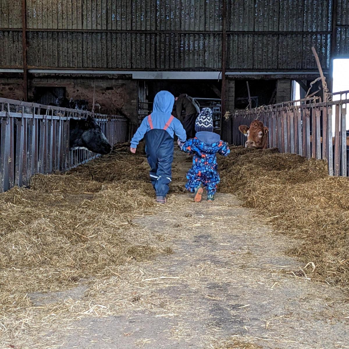 Kasey Gardiner - Belle (3) and Billy (1) making sure dad has got the beasts fed