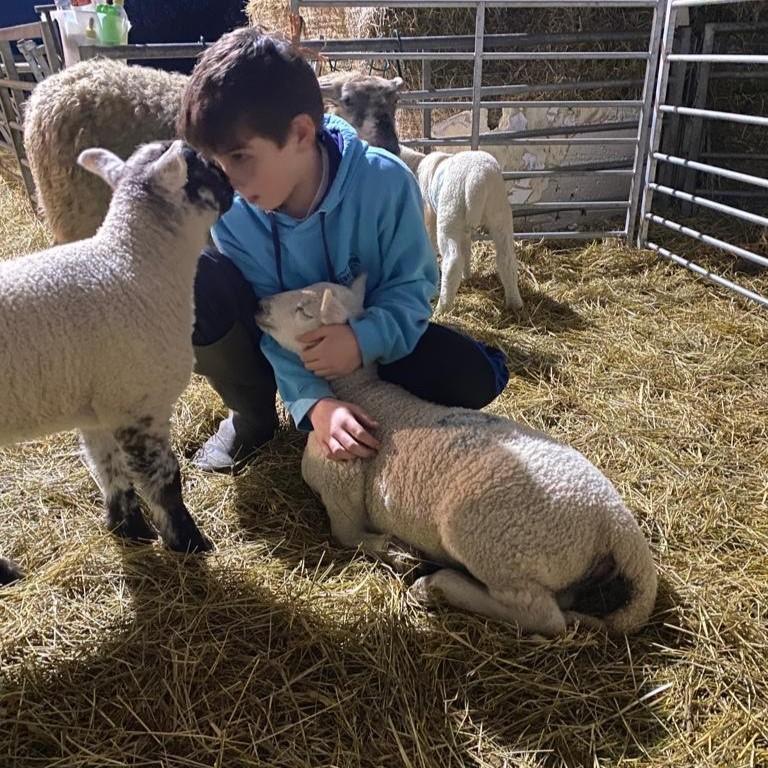 Caroline Haxton - My son Fraser in the shed the other night with the two, non-bottle pets who come for a cuddle every time.  9 behaves like a puppy