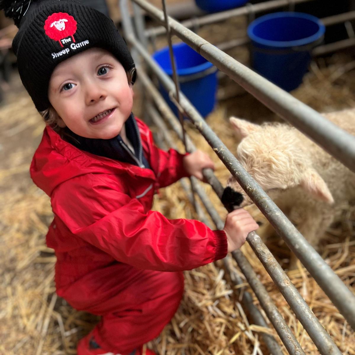 Heather Crawford - 2 year old Devon helping mummy and daddy with the 2023 spring lambing