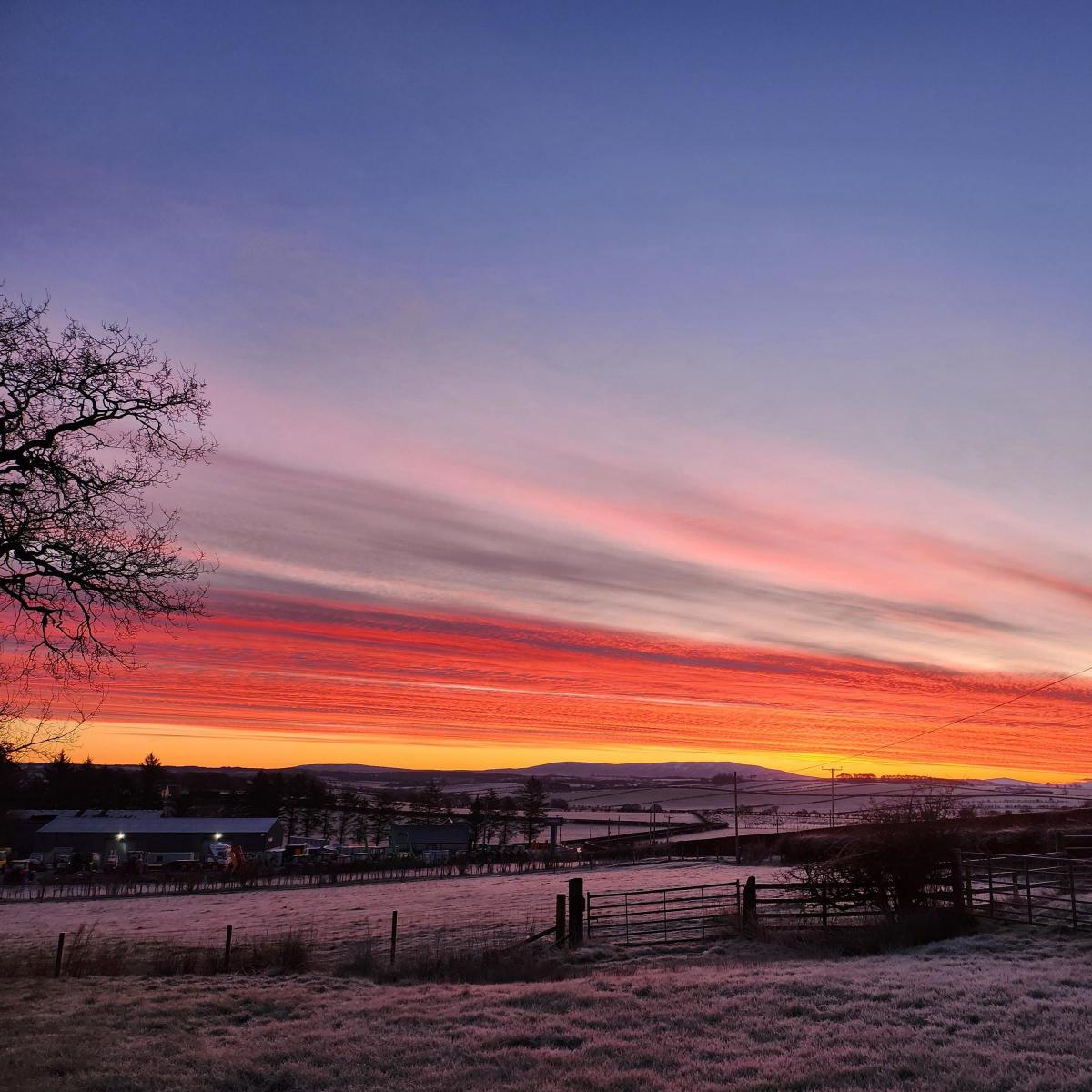 Katie Russell (Knowehead Farm) - Early morning sunrise in Mauchline East Ayrshire