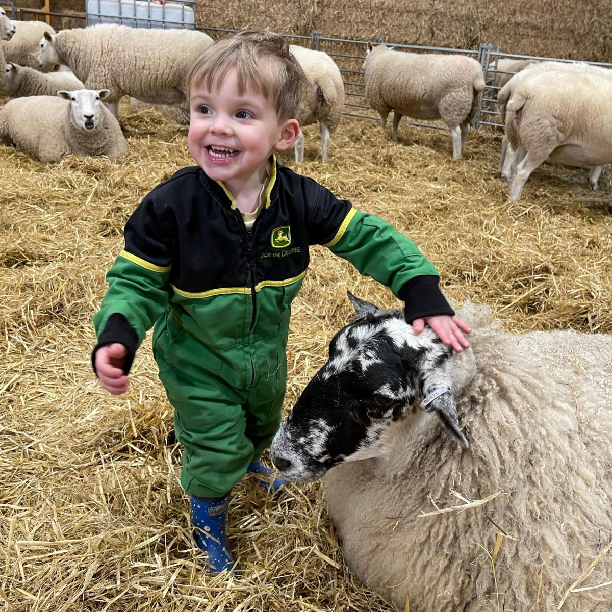 Nicola Capper - Robbie Capper helping with the lambing at his family’s farm at Houston, Renfrewshire