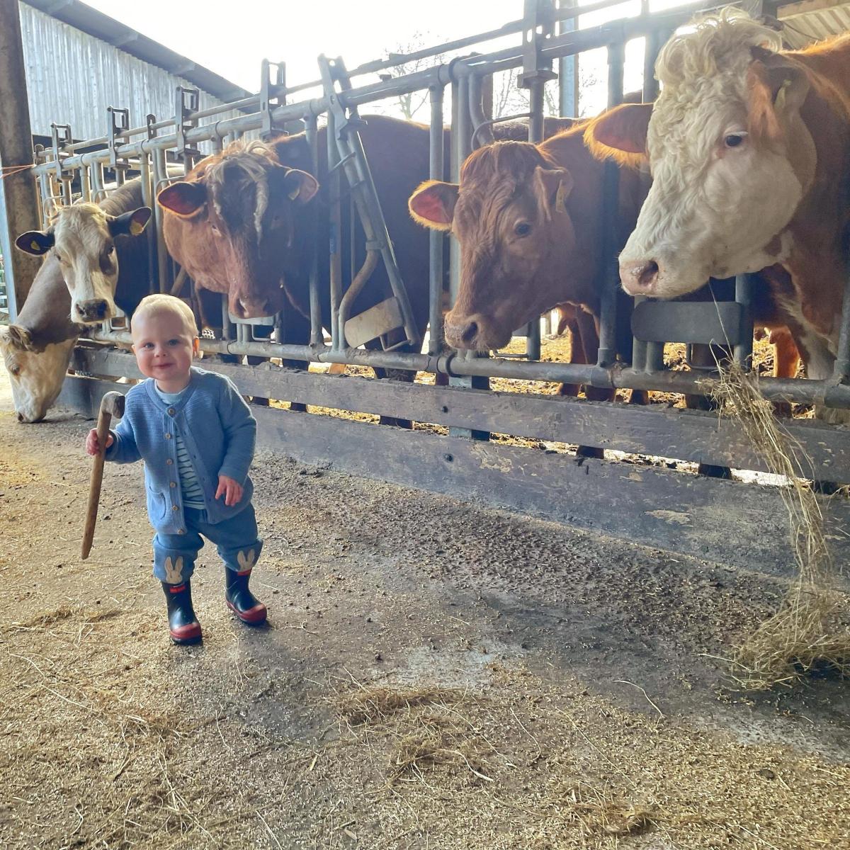 Eilidh Duncan - Checking grandpa’s cows
