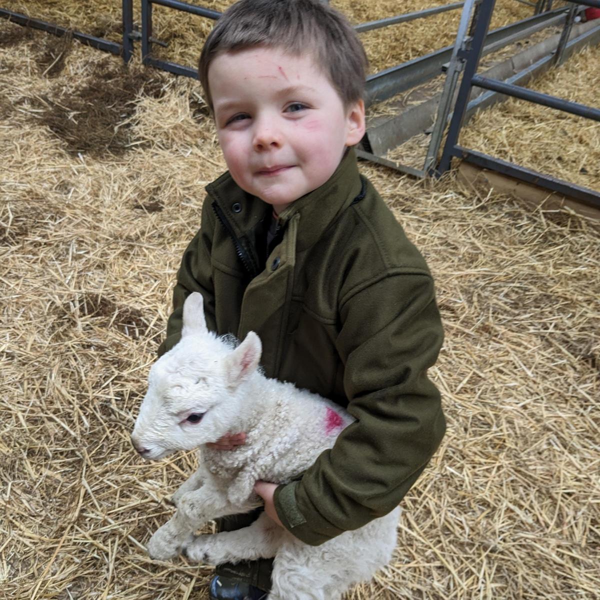 Kathryn Cavers - Gregor in the lambing shed at Hoghill Farm, Langholm