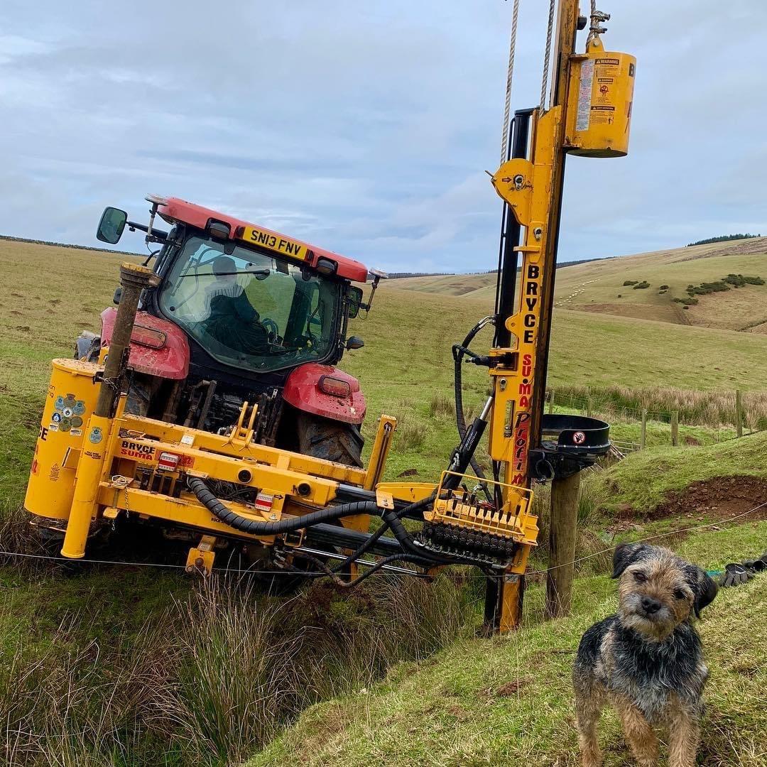 Kevin Aitchison - Mac the Border Terrier overseeing stock fencing in the Lammermuir Hills (Credit - Aitchison Fencing)