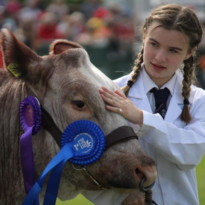 Robert Miller - This is snapped at The Balmoral Show and the handler is Maisy Lee and the animal's name is Holly