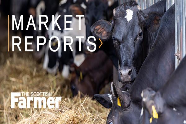 Market Reports promo image