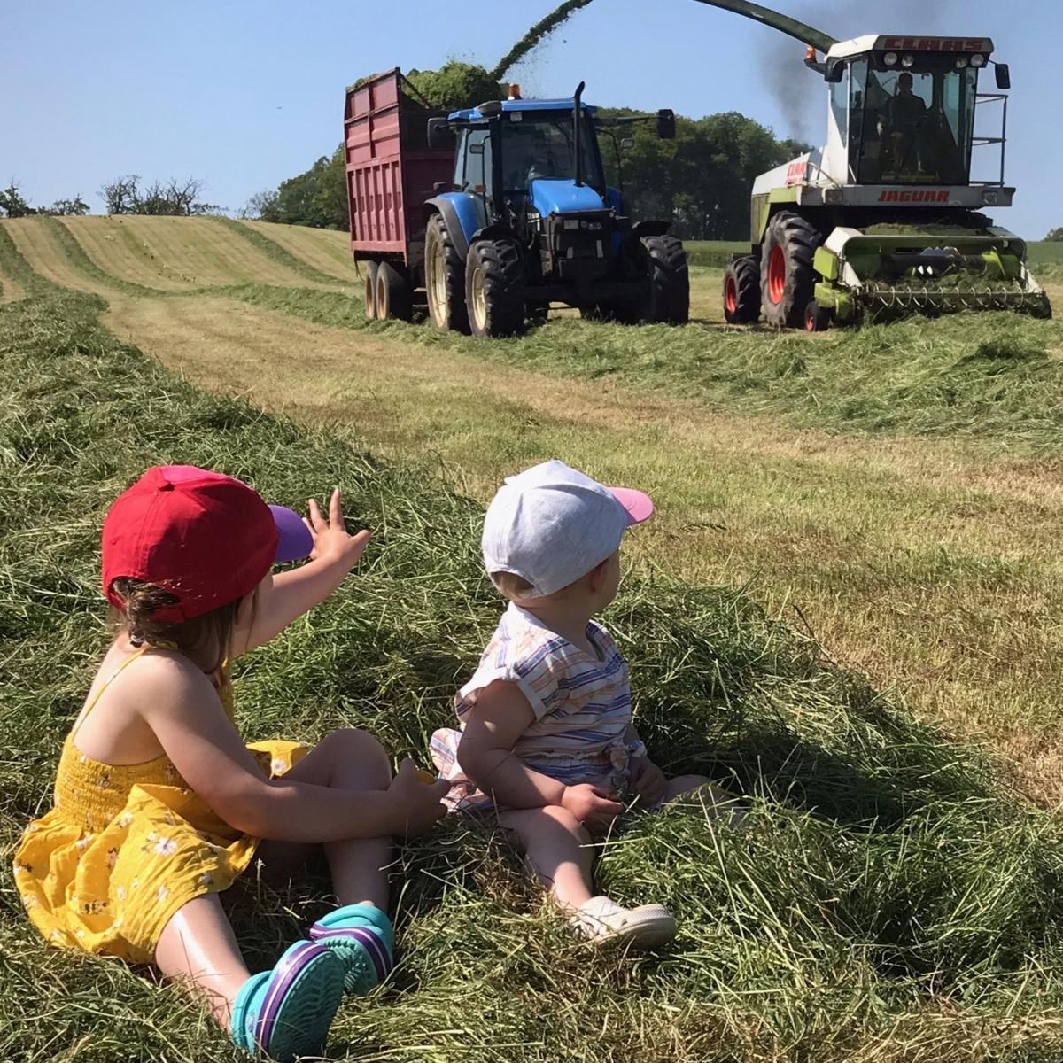 Catherine Drummond 3 and sister Emily 1 - watching daddy Euan and Auntie Holly chopping silage at Jameston Farm, Ayrshire.