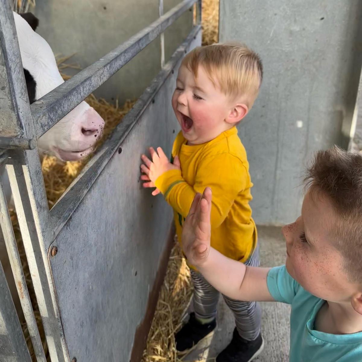 Gillian Weatherup - Can’t decide which one I love more but this is my little boy, Lane Weatherup (and big brother Hunter), helping at calf feeding time.