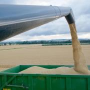 Grain markets have risen