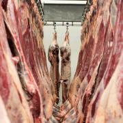 Meat markets around the world continue to be impacted by health and wealth of the Chinese economy