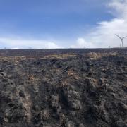The Moray wildfire of 2019 left miles of devastated land in its wake