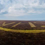 NHS letters cut into heather on the hill by gamekeepers on Greenlaw Moor