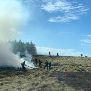 A combined effort of fire crews, gamekeepers, farmers and volunteers extinguished the fire before excessive damage could be caused