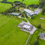 Belwade Farm in Aberdeenshire is amongst the World Horse Welfare centres which are to be closed till 2021