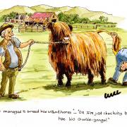 'I know he's been bred with no horns - but still gotta check for the goolie gongs!'