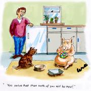 'Right piggies-wiggie - you sort that and you'll both get fed!'
