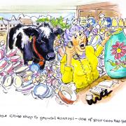 CHINA SHOP to Ground Control – has one of your cows gone offline?