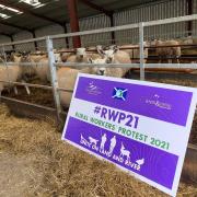 The Rural Workers’ Protest 2021 – #RWP21 – has been organised for March 19 by the Scottish Gamekeepers Association and Scotland’s regional moorland groups